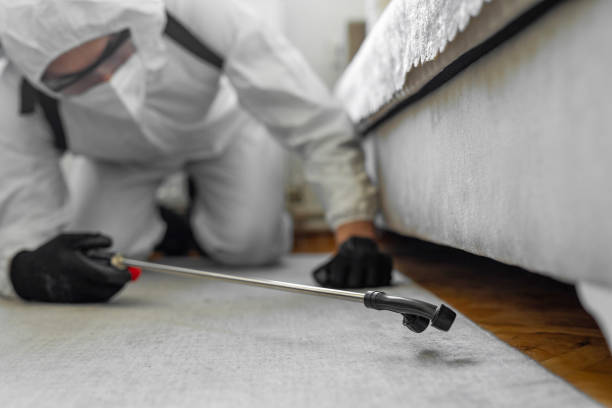 Professional Mosquito Control technician working in Stafford Springs, CT