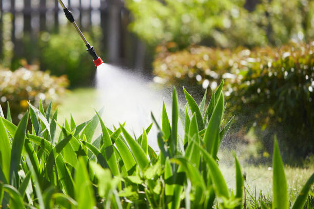 24/7 Emergency Mosquito Control experts in Stafford Springs, CT