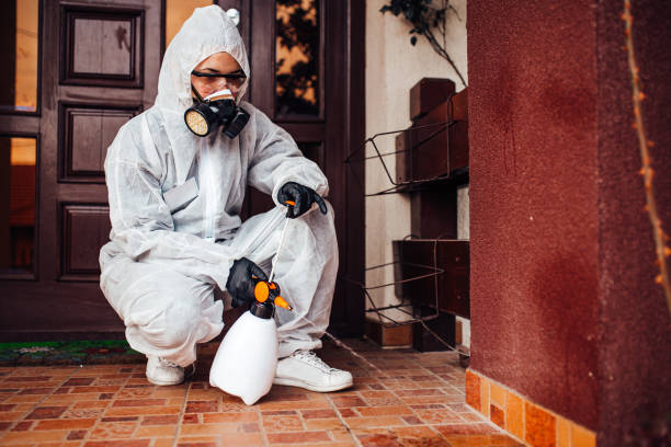 Reliable Mosquito Control contractor in Stafford Springs, CT by Nex Pest Control