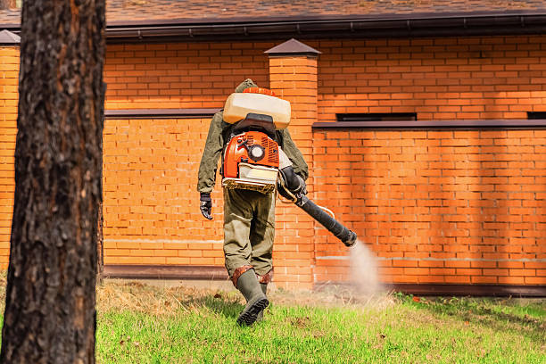 Trusted Ant Control service in Stafford Springs, CT - Nex Pest Control